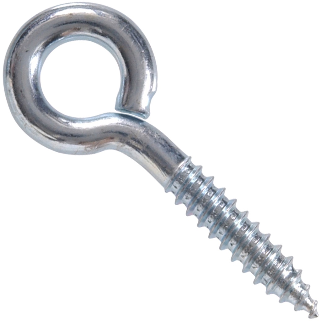 FG EYE LAG BT 5/16X3-1/4