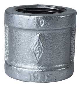 Galvanized 2" Coupling