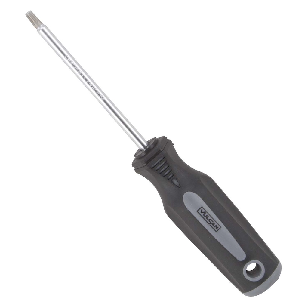 SCREWDRIVER STAR T25X4IN