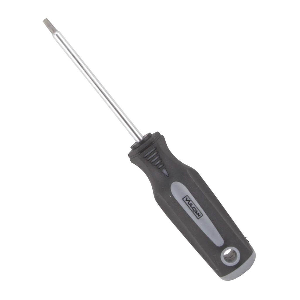 Screwdriver #T20 4"