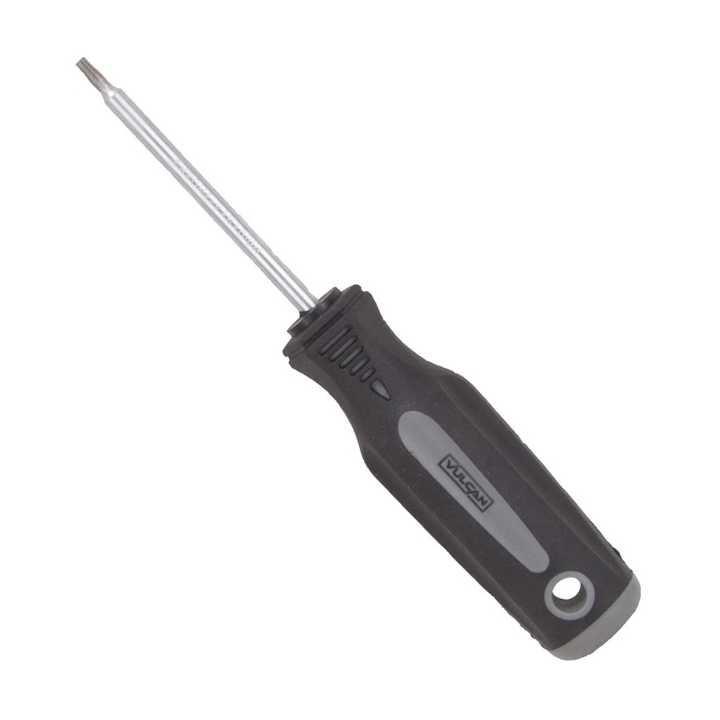 SCREWDRIVER STAR T10X3IN