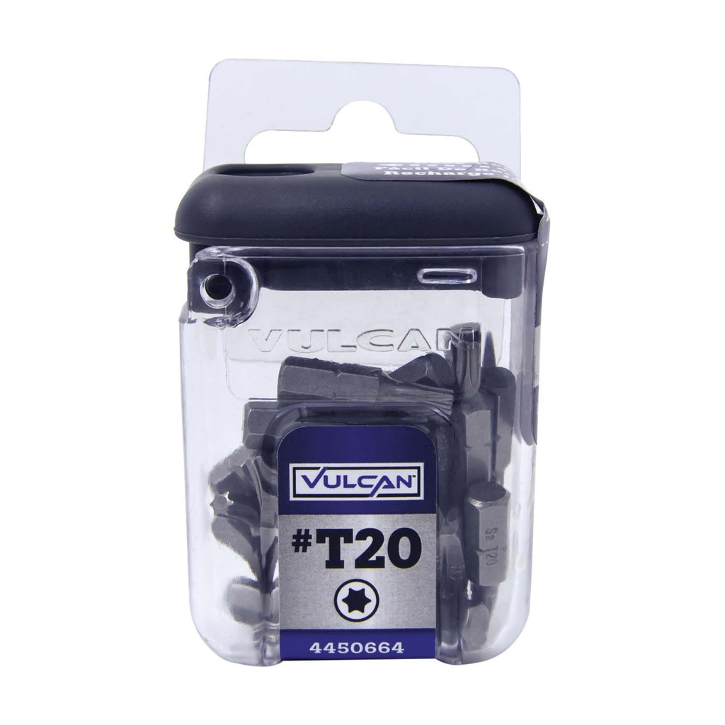 Screwdriver Bit #T20 1" 25pk
