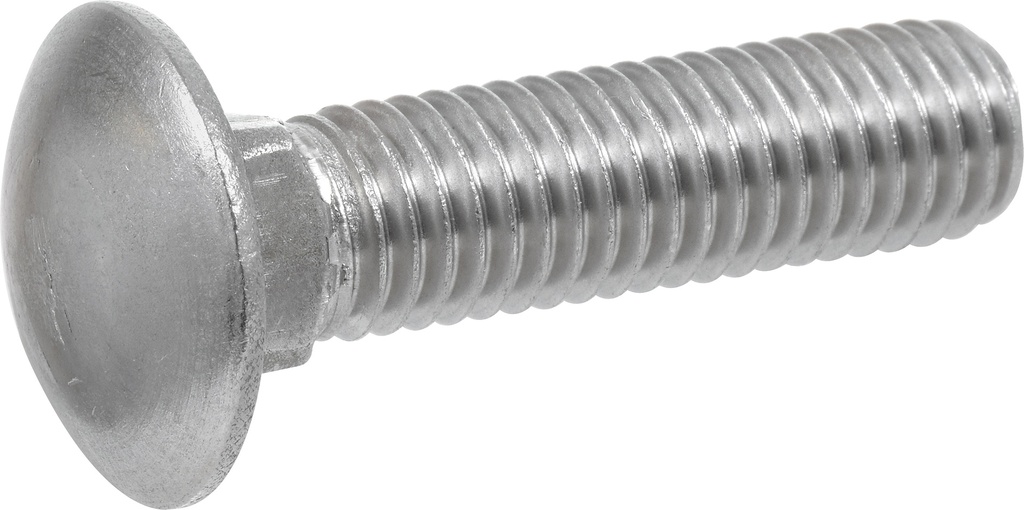18-8 CARR SCREW 5/16X2