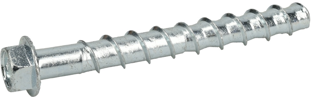 SCREW BOLT 1/2X5