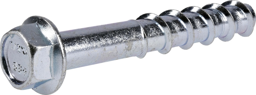SCREW BOLT 1/2X4