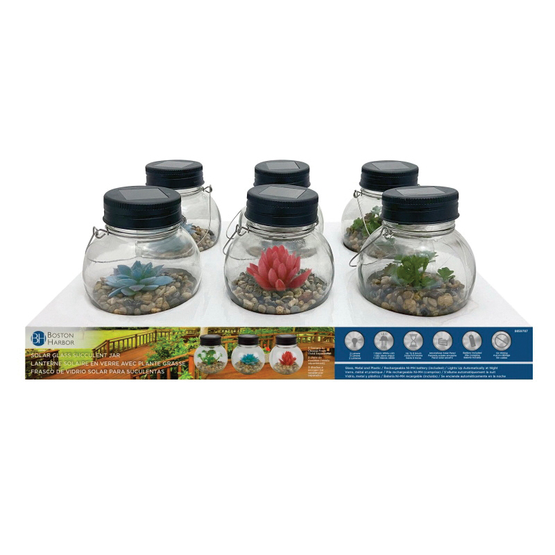 Solar Jar Succulent Glass 3 Lumens