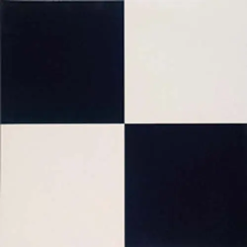 Vinyl Flooring Speedway Evolut