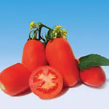 Tomato Bianco F1