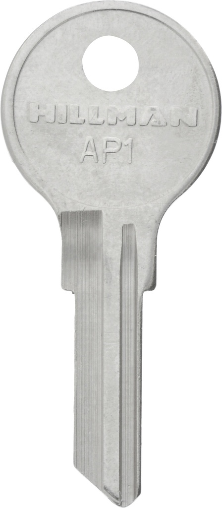 AP-1 CHICAGO BLANK (S)     10