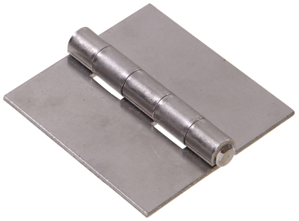 FG-HINGE WELDABL 2" PN