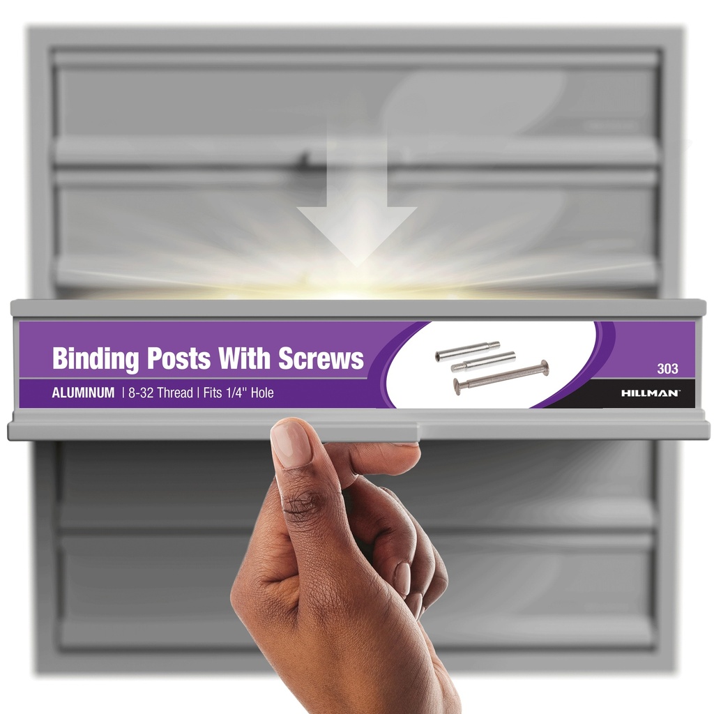 303-ASSORTMENTBINDING SCREWS