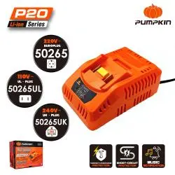 20V X20 M TYPE DESKTOP CHARGER 2.4A 
