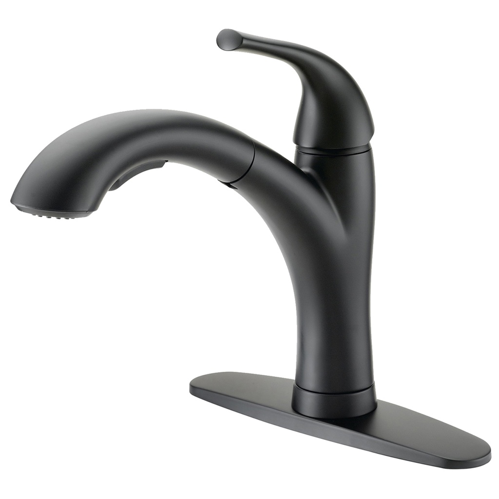 Kitchen Faucet 1 Handle Pull Out Matte Black