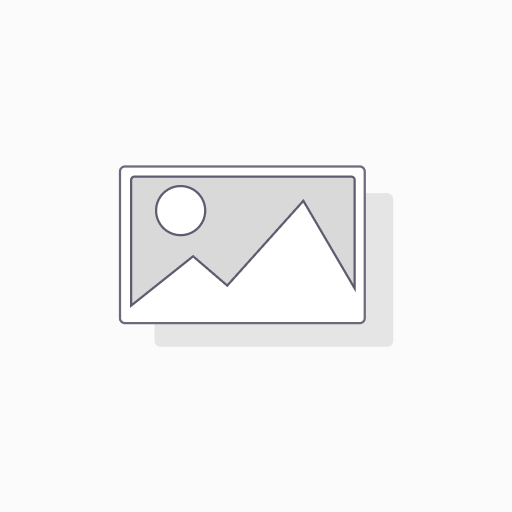 BURNER HEAT SHIELD