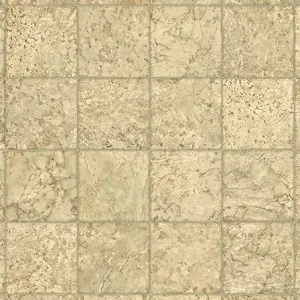 Vinyl Flooring Armstrong 12'   