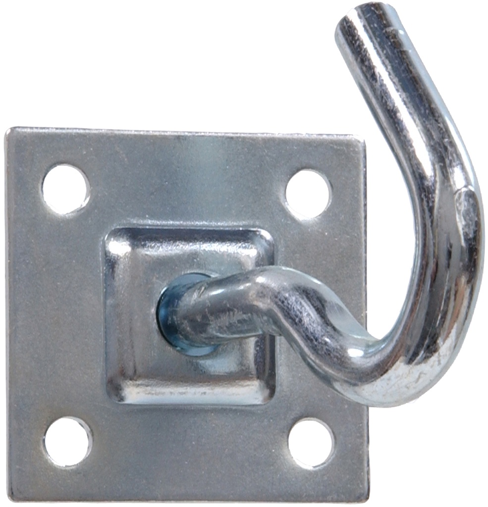 FG CLOTHESLINE HK PLATE