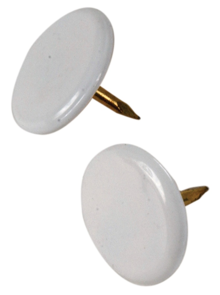 THUMB TACK WHITE 40