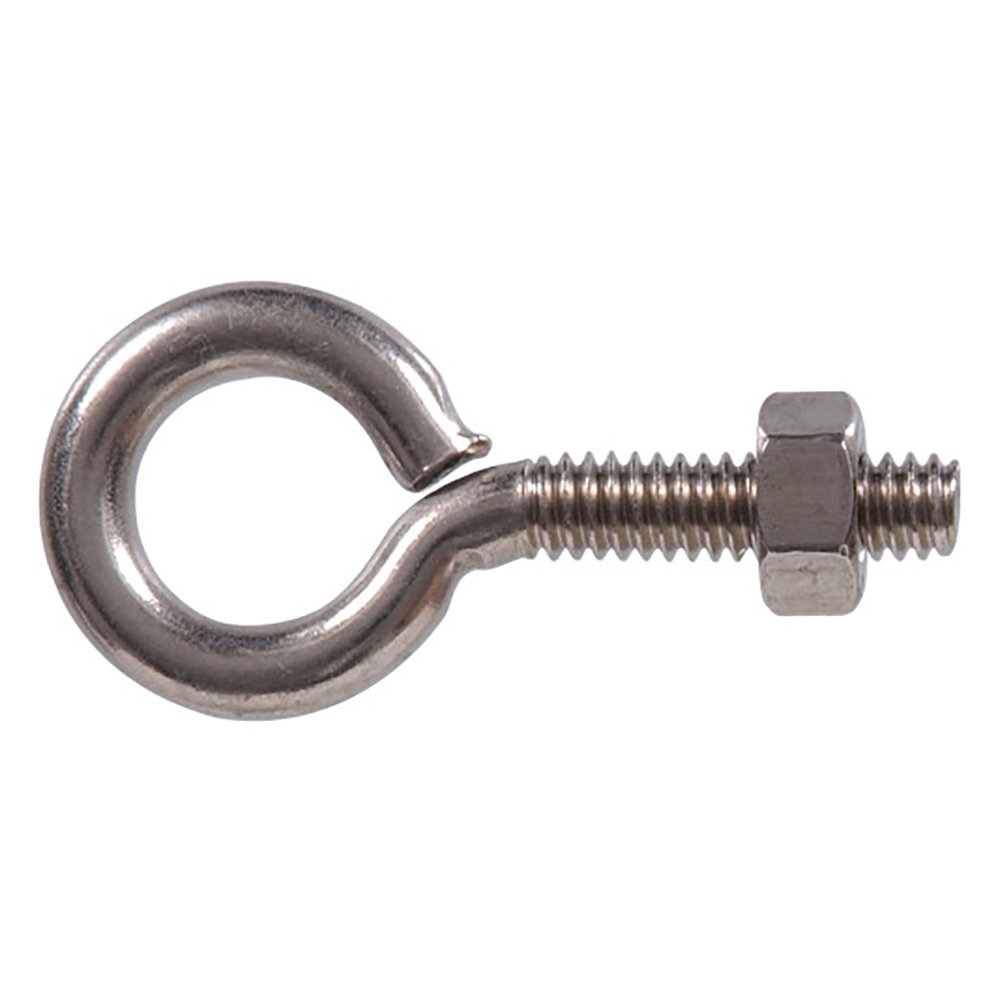 FG SS EYE WN 1/4-20X2