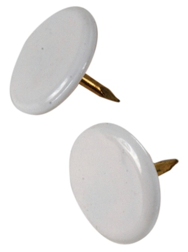 [122674] THUMB TACK WHITE 40