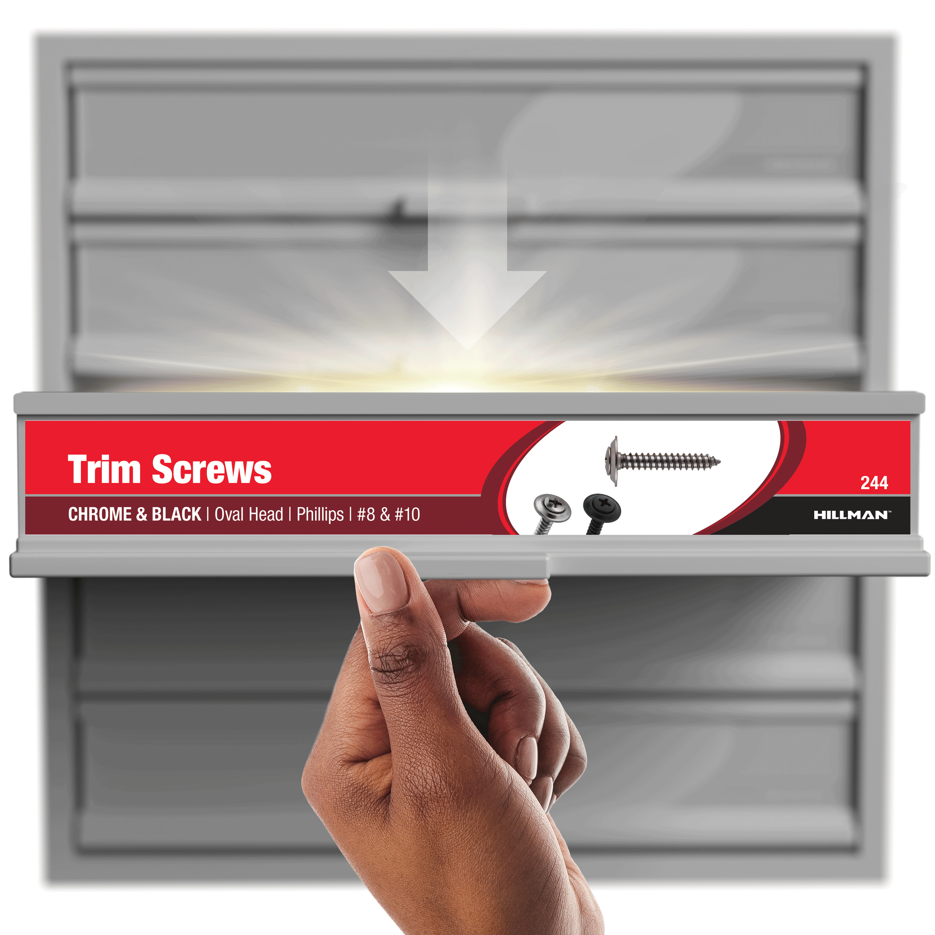 [3128] 3128-ASSORTMENT TRIM SCREWS