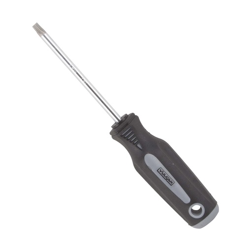 [8927980] SCREWDRIVER STAR T30 X4IN