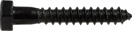 [852519EA] CD-LAG SCR 5/16X1.5 BLK